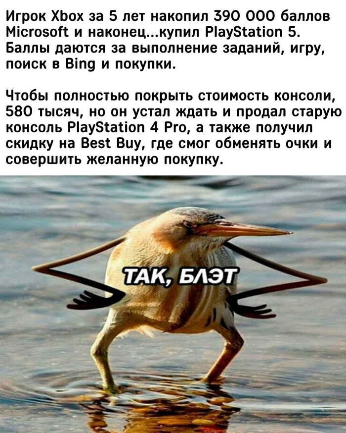    -   Playstation 5, Xbox, Microsoft, ,   , , ,   , , 