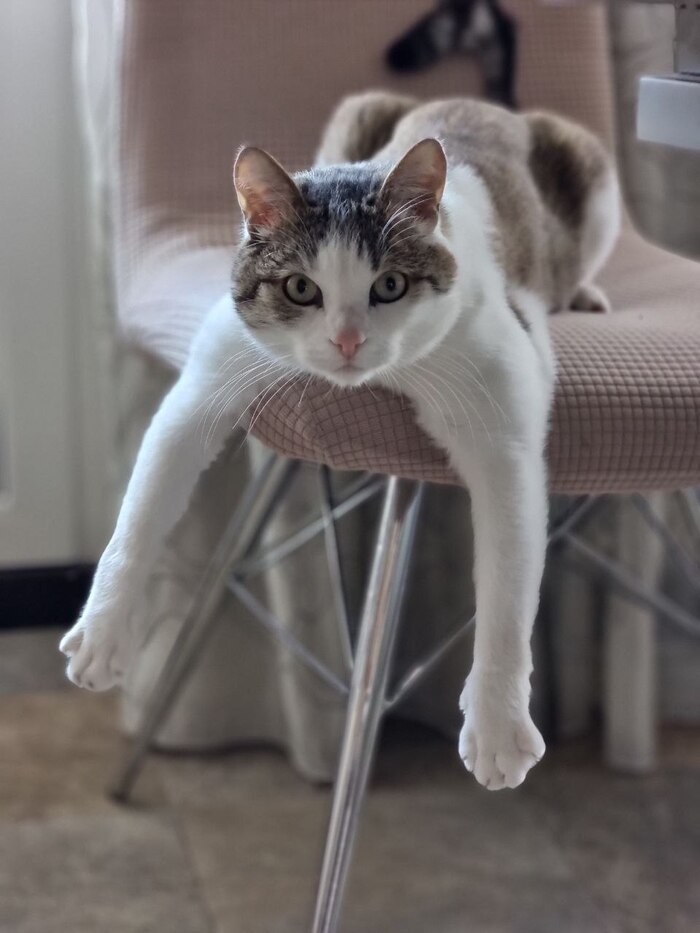        , ,  , , , , 
