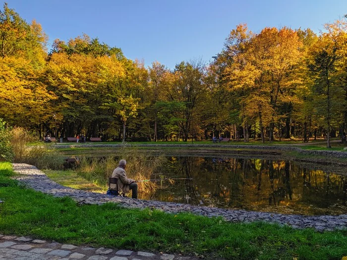 Autumn is coming to Kaliningrad - My, Kaliningrad, Kaliningrad region, City walk, Street photography, Mobile photography