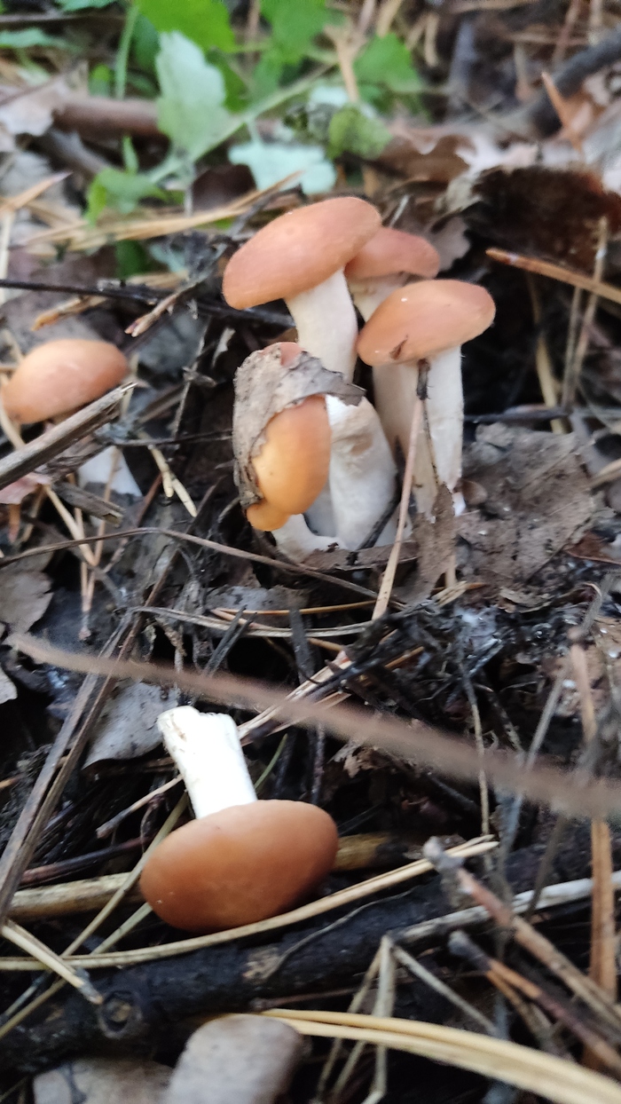     , , , , , ,   