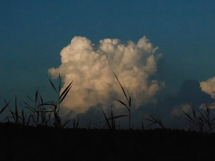 From the grass to the sky - My, The photo, Sky, Grass, View, Clouds