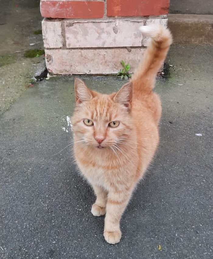 ����� ������� ��������� � ������ ����