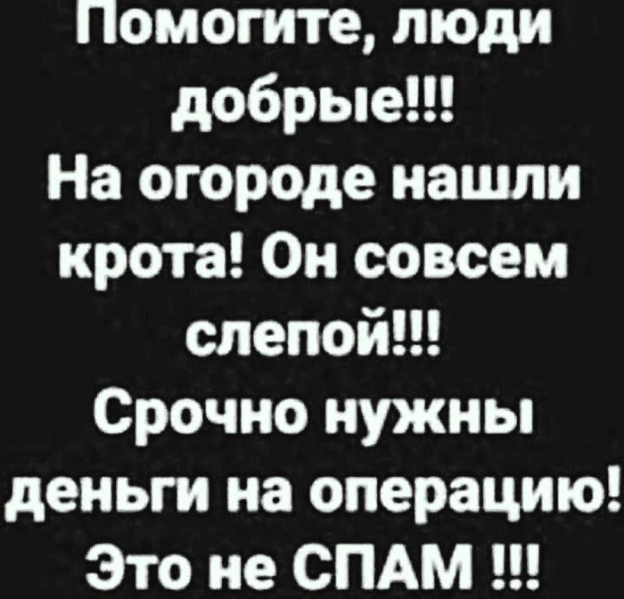  , , , Telegram (), ,  ,   , 