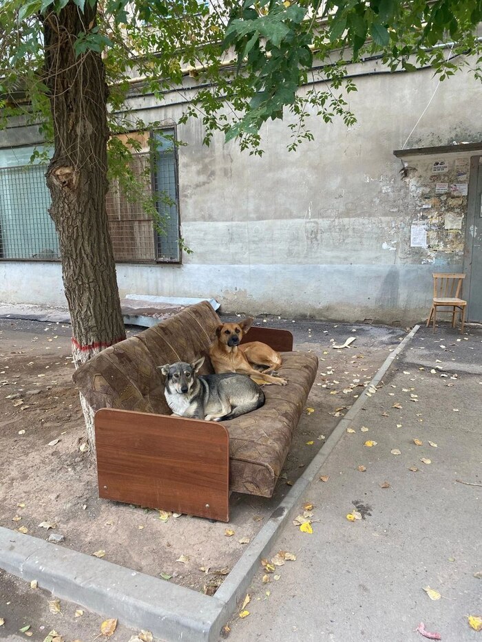 Дратути, а покушац принесли?