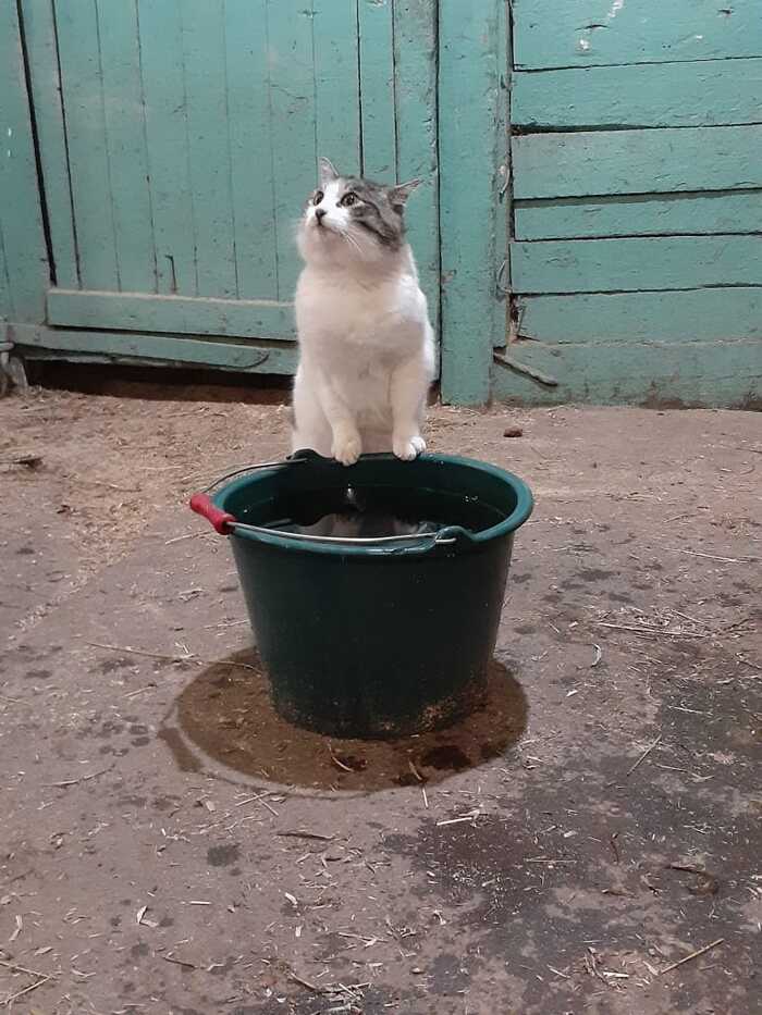 ���� ��������