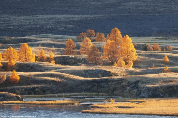 Осенний Алтай - Моё, Фотография, Canon, Республика Алтай, Осень, Видео, Видео вк, Длиннопост