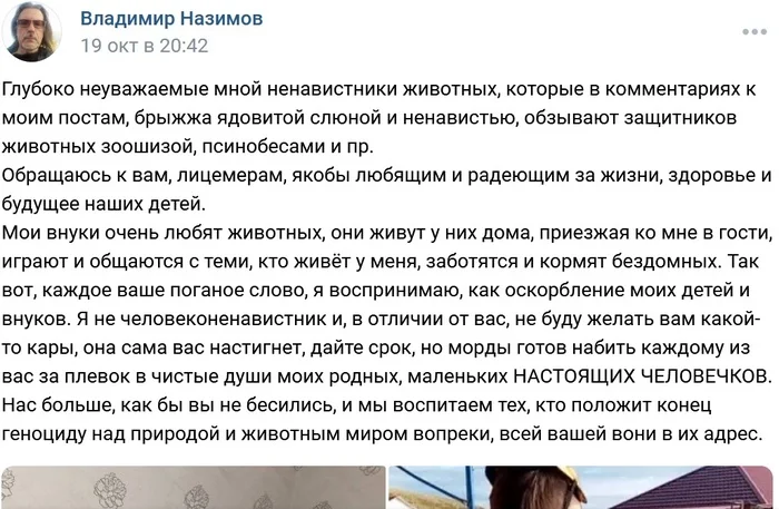 When you're ready to beat the whole world's faces - Screenshot, VKontakte (link), Stray dogs, Radical animal protection, Urban crazy, Warrior, Negative