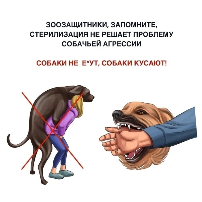 Comrades, vote! Don't pass by! 2 minutes - and you are beautiful! - Animal defenders, Dog, Петиция, Vote, Stray dogs, Swarms, Picture with text, Mat