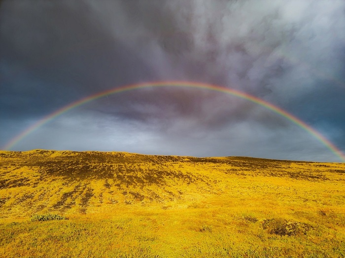 Тикси. Фото: <a href="https://pikabu.ru/story/kak_vyizhit_v_tiksi_11940523?u=https%3A%2F%2Fvk.com%2Fid544343831&t=%D0%9F%D0%B0%D0%B2%D0%B5%D0%BB%20%D0%98%D0%B2%D0%B0%D0%BD%D1%87%D0%B5%D0%BD%D0%BA%D0%BE%20%2F%20%D0%92%D0%9A%D0%BE%D0%BD%D1%82%D0%B0%D0%BA%D1%82%D0%B5&h=197dde2c596f0ecb571eadc8573541f610ebc5d0" title="https://vk.com/id544343831" target="_blank" rel="nofollow noopener">Павел Иванченко / ВКонтакте</a>