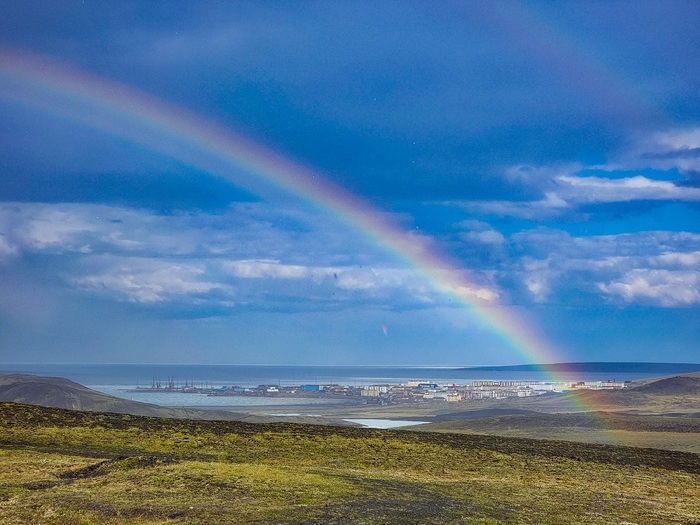 Тикси. Фото: Павел Иванченко / ВКонтакте