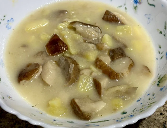 Mushroom soup in the Northern Black Sea region - My, Food, Recipe, Longpost, Mushrooms, Soup, Cooking, Mushroom soup