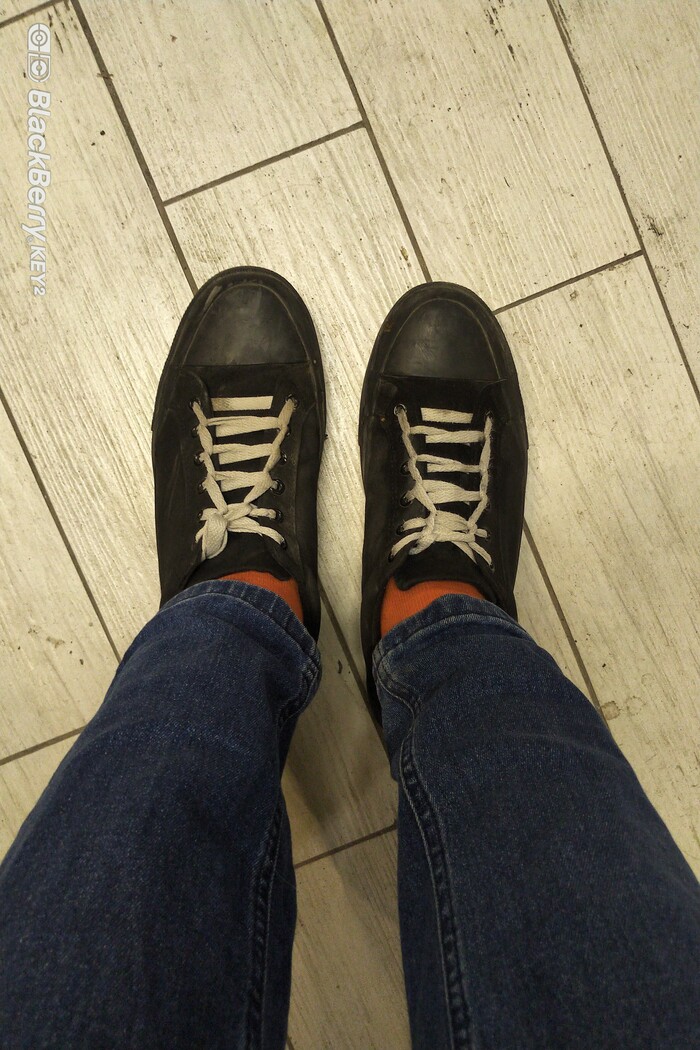 Круговорот бомжей в природе