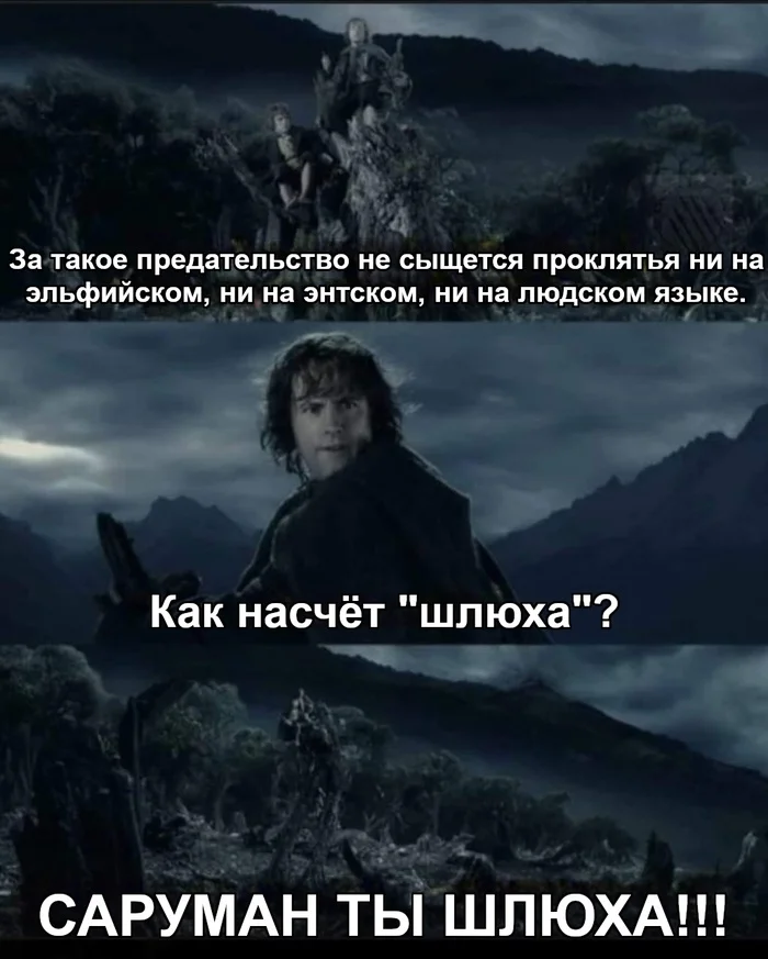 Political for sure - Lord of the Rings, Peregrin Took, Ents, Saruman, Insult, Picture with text, Translated by myself, VKontakte (link)