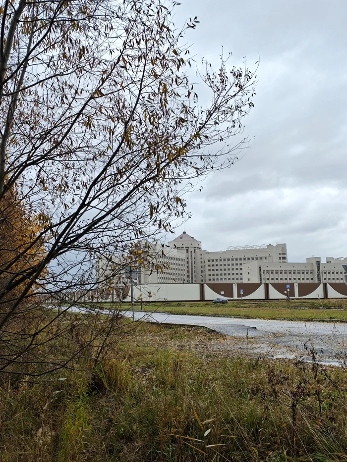 Осень. Жилой комплекс Кресты-2 - Осень, Тюрьма кресты, СИЗО, Фотография