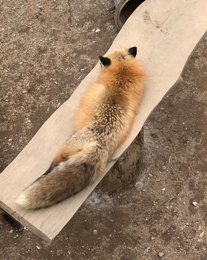  , , ,   , , , 