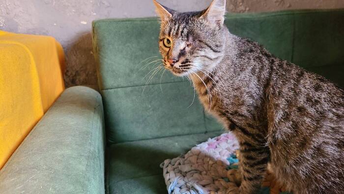 &#x1F1EC;&#x1F1EA;             -. ,    ,        .