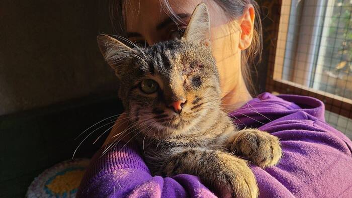 &#x1F63F;       ,       .