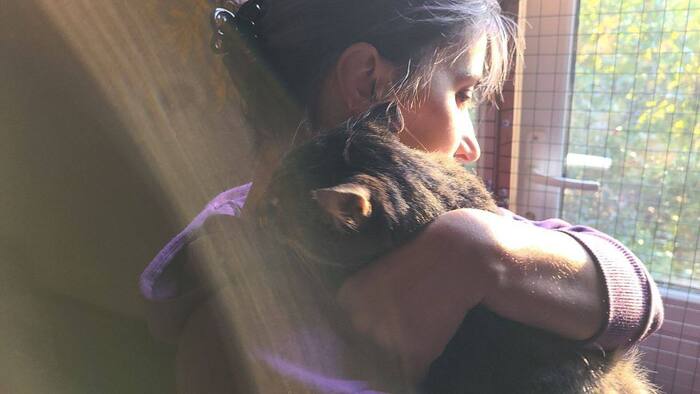 &#x1F408;     ,        .        .