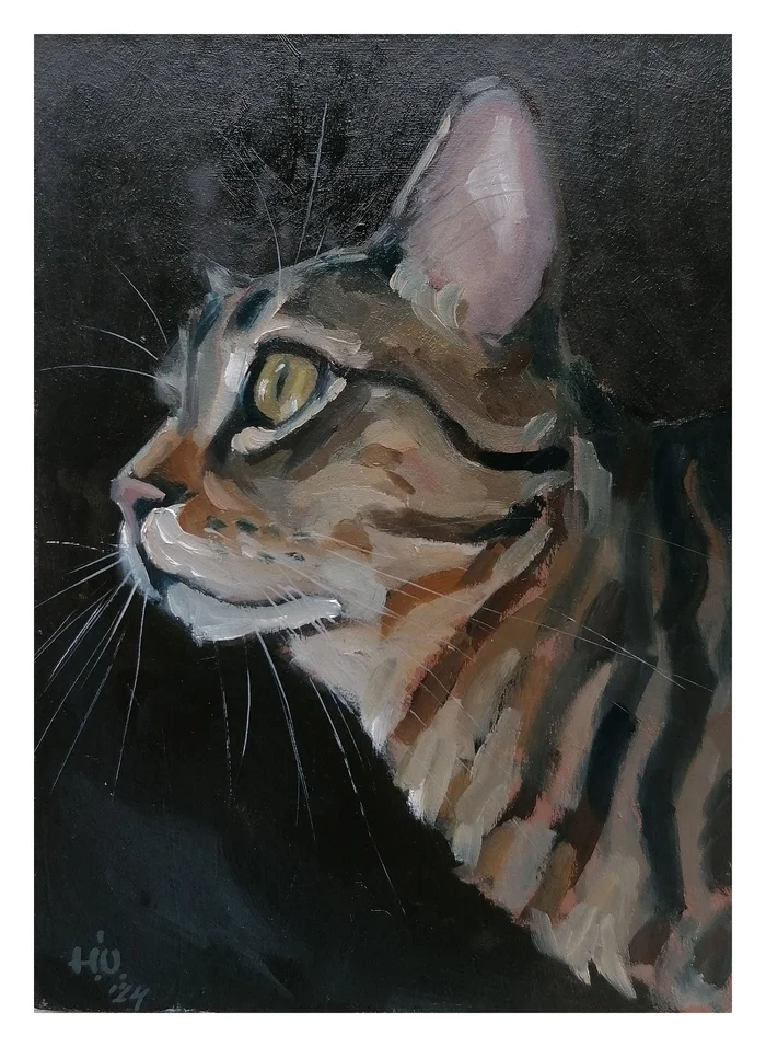 Cat - My, Painting, Oil painting, cat, Pets, Artist, Etude, Author's painting, Animalistics, Portrait by photo, Painting, Art, Creation, Traditional art