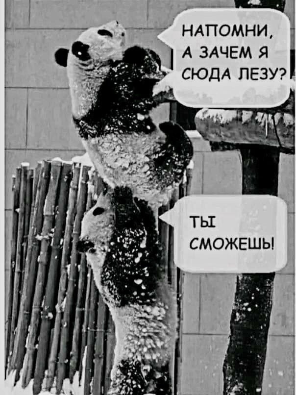 ������ ��� - ������ �� � �� ��?