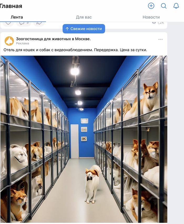 Вы вот смеётесь над мемами про ваху…