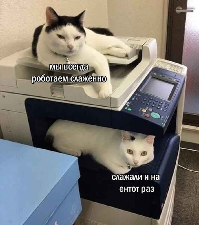  , , , , ,   