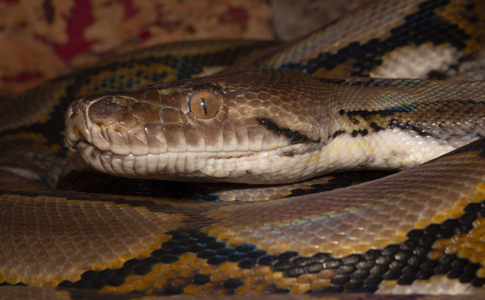       .        ,      " ".    