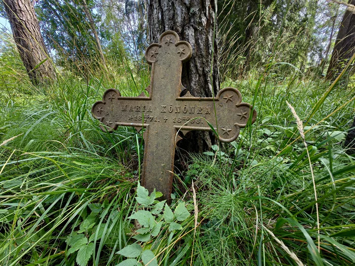 Karelia. Huawei P60 Pro - My, Карелия, Mobile photography, Longpost