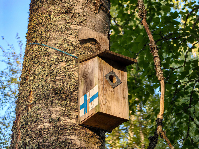 Финский скворечник. Выглядит аккуратненько