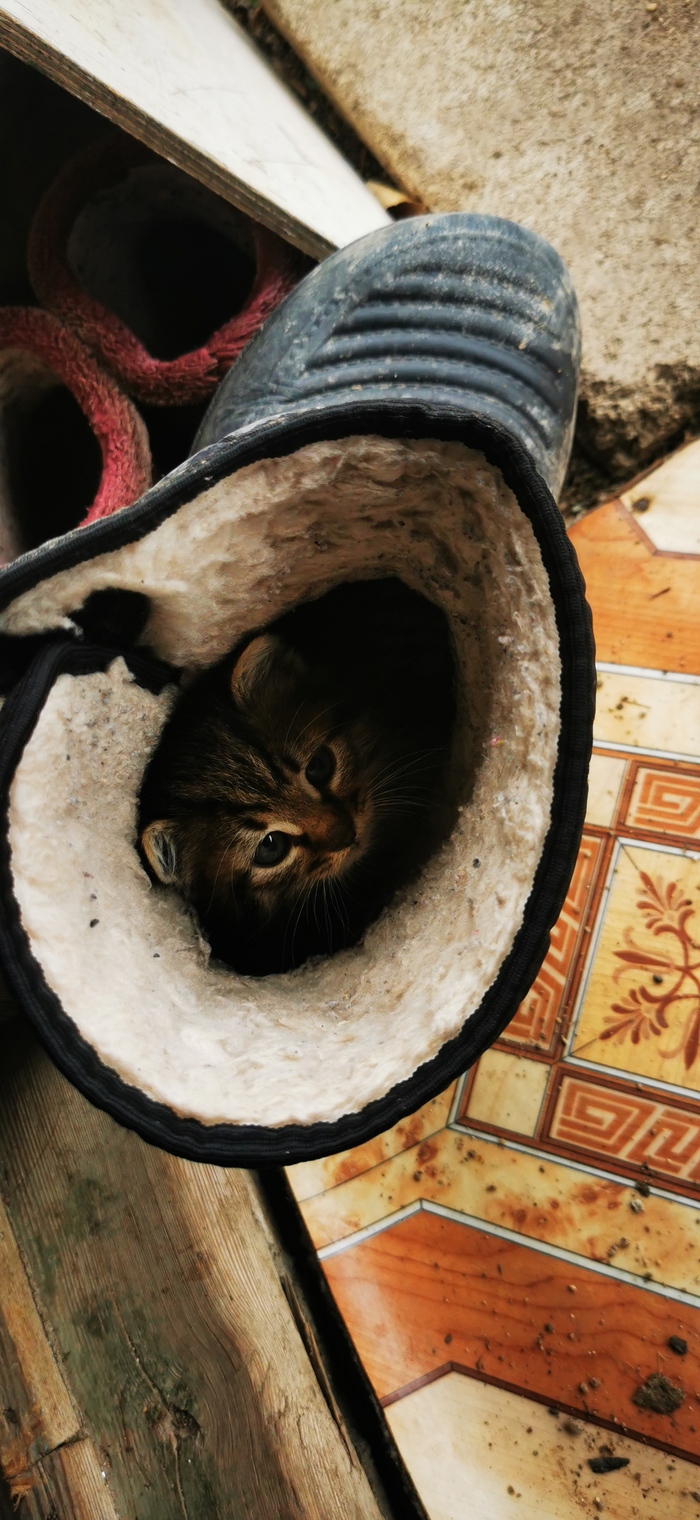 �� �������� � �������