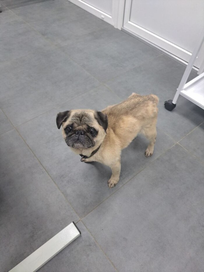 ������ ����! ������, ��