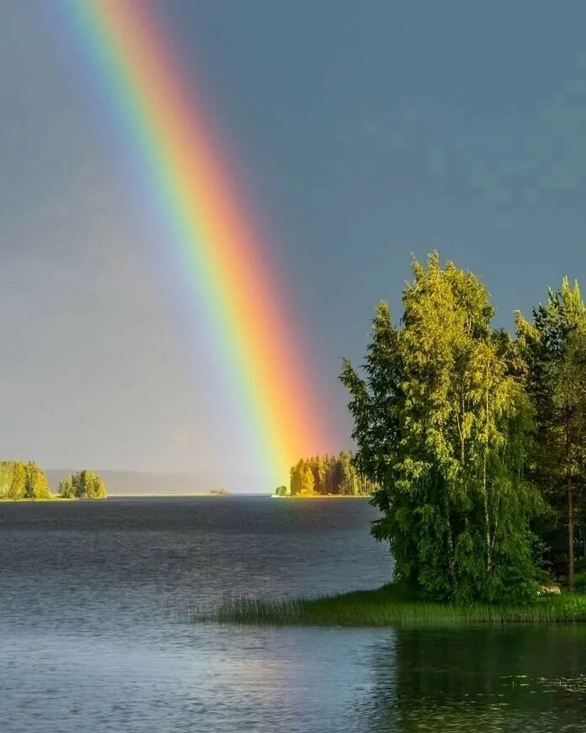 Rainbow , 