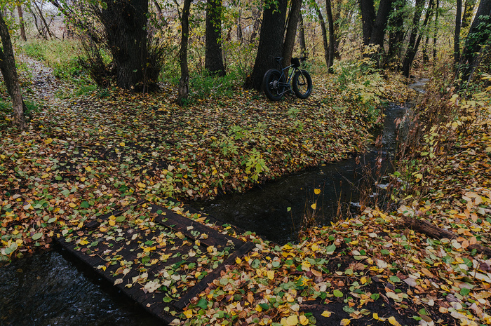     /.     ,     .    ,        .