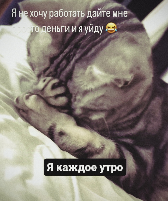 Такие вот эти осенние утры