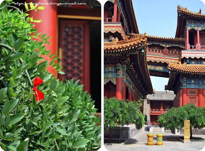 Храм Ламы - Yonghegong Lama Temple, Beijing - Буддизм, Тибетский буддизм, Буддистский храм, Китай, Пекин, Фотография, Длиннопост