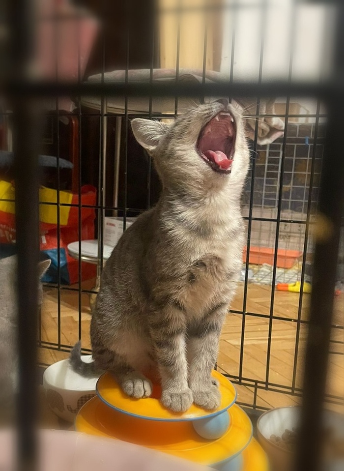 Ох, как спать хочется... А вам?