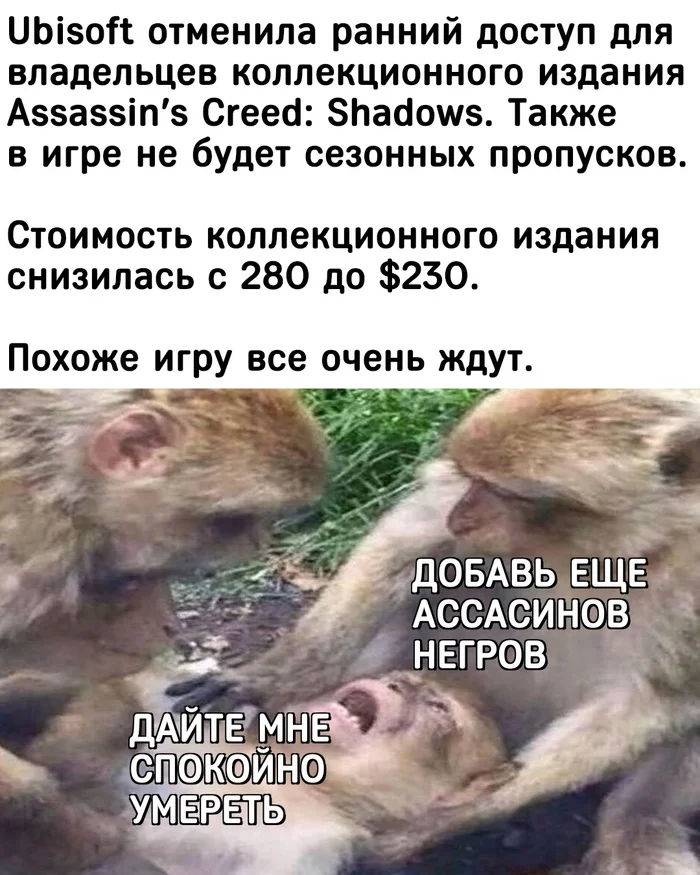 У Ubisoft дела все хуже и хуже - Компьютерные игры, Игры, Assassins Creed, Assassins Creed Shadow, Ubisoft, Картинка с текстом