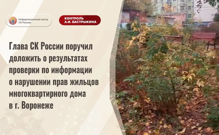 Following the signal from the People's Front: the head of the Investigative Committee of Russia joined the search for a playground in Voronezh - My, Officials, Voronezh, Housing and communal services, Beautification, Children