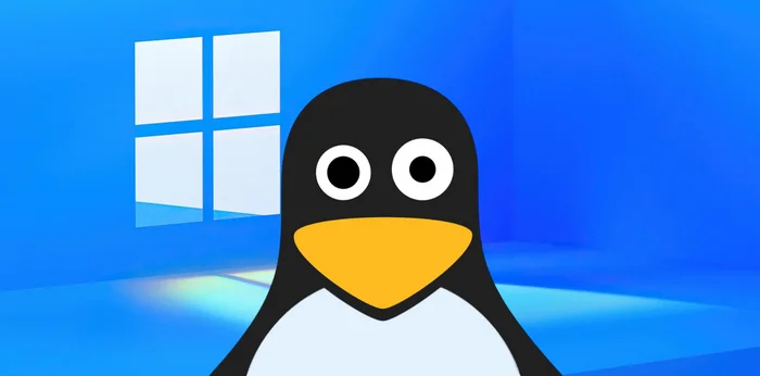 Ближайшую неделю на Пикабу - Моё, Linux, Linux и Windows, Софт, Операционная система, Холивар, Неудобство, Программное обеспечение, Тренд, Новости