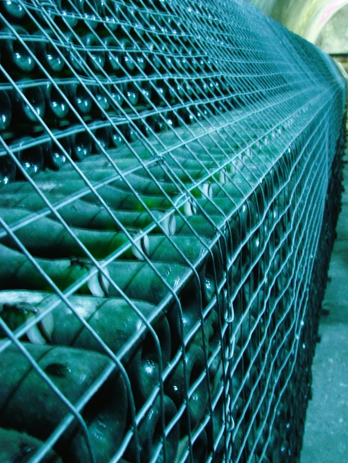 Винодельни Краснодарского края. Фото: Полина М.