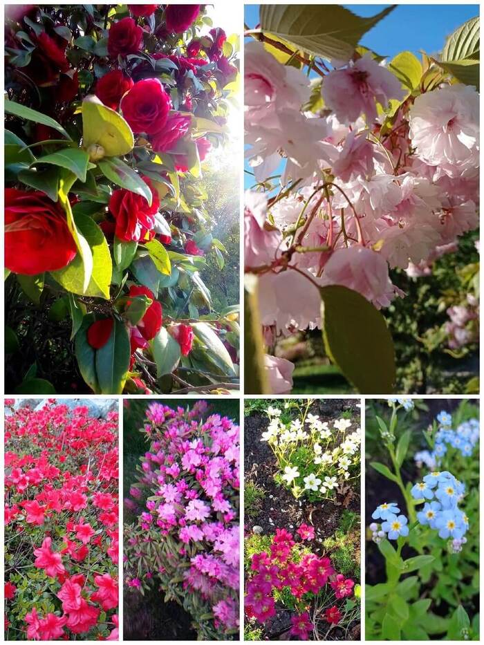  . : <a href="https://pikabu.ru/story/gde_i_zachem_iskat_yaponiyu_v_krasnodare_11944885?u=https%3A%2F%2Fvk.com%2Fmariankos&t=%D0%9C%D0%B0%D1%80%D0%B8%D0%B0%D0%BD%D0%BD%D0%B0%20%D0%9A%D0%BE%D1%81%D0%B5%D0%BD%D0%BA%D0%BE%20%7C%20%D0%92%D0%9A%D0%BE%D0%BD%D1%82%D0%B0%D0%BA%D1%82%D0%B5&h=eab873ac3f90eca74dab39d15389f7b348f4df1a" title="https://vk.com/mariankos" target="_blank" rel="nofollow noopener">  | </a>