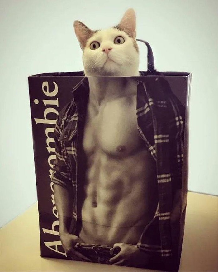 Подкачался