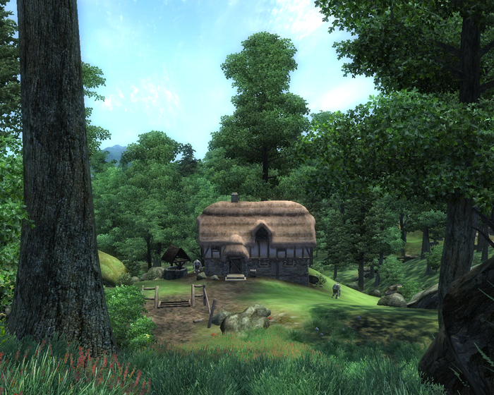  (Weatherleah) Bethesda, The Elder Scrolls, The Elder Scrolls IV: Oblivion, , , RPG, , 