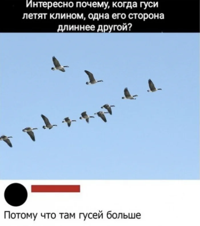 Появилось очень много билетов в Турцию за 3-5 тысяч рублей из всех городов России - Планирование путешествия, Турция, Лайфхак, Telegram (ссылка), Длиннопост