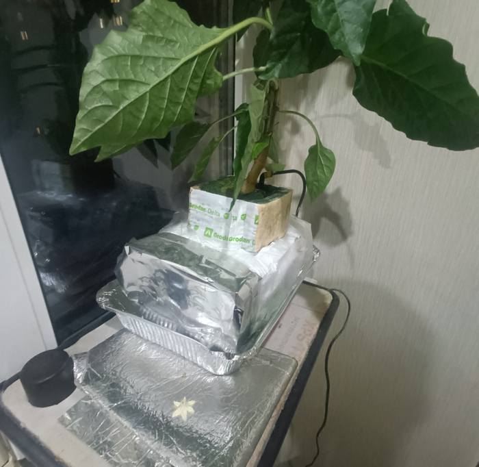   ,    .    ,                .