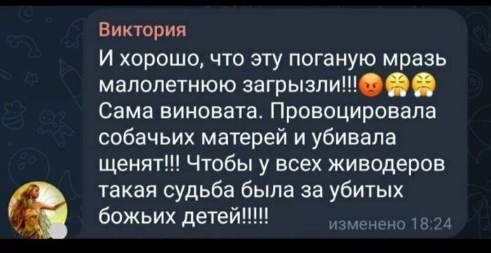 Ответ на пост «Зоорадикал = нацист и человеконенавистник» - ВКонтакте (ссылка), Скриншот, Радикальная зоозащита, Городские сумасшедшие, Нацисты, Нацизм, Бродячие собаки, Негатив, Якутия, Длиннопост, Ответ на пост