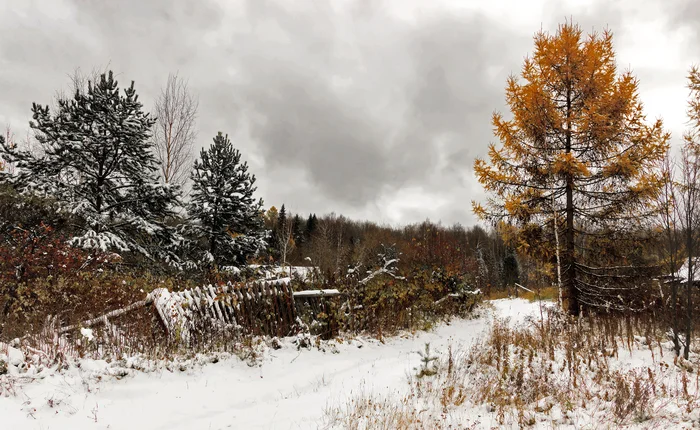 First Snow 3.0 - My, The photo, Canon, Autumn, Landscape, Snow, Tree, Perspective, Road, Middle Ural, Nature