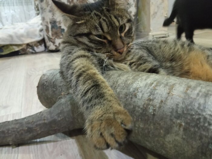 Ответ на пост «Хозяин жизни»