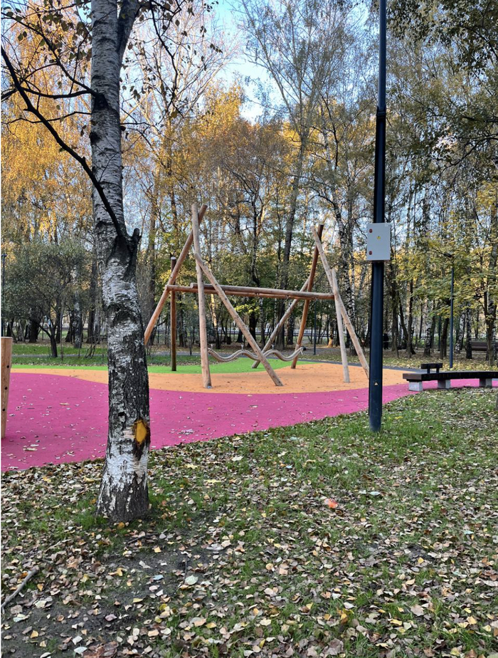 Псы без границ. Как мы с соседями ищем забор собачьей площадки