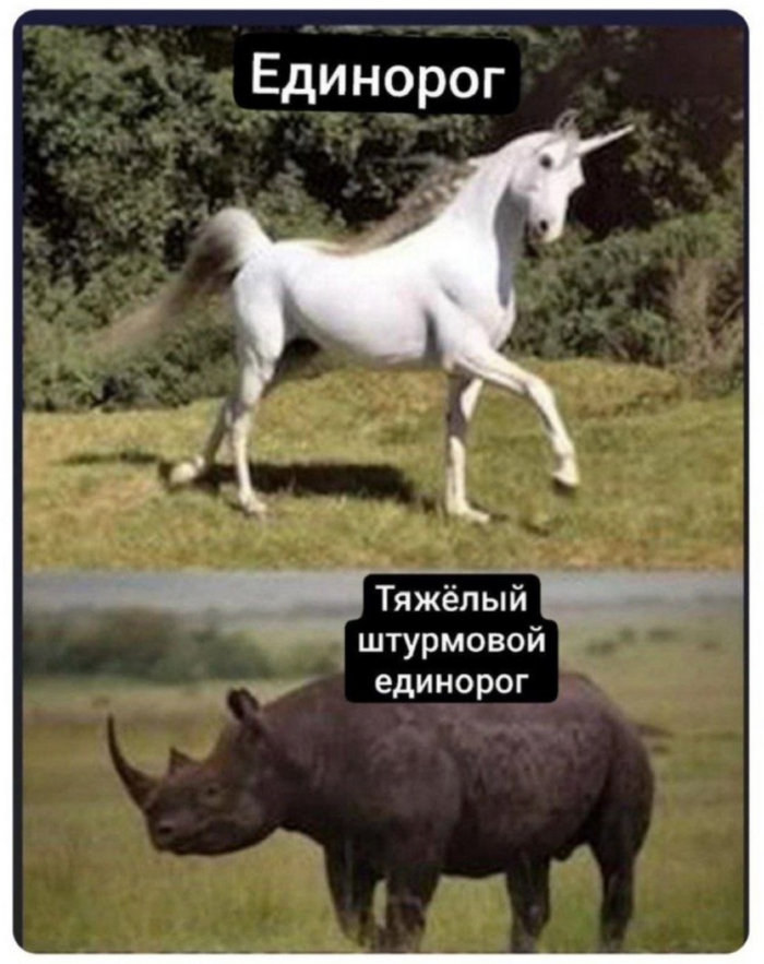 На нижней картинке щенок штурмового единорога высматривает, в какую сторону убежали его вероятные друзья.